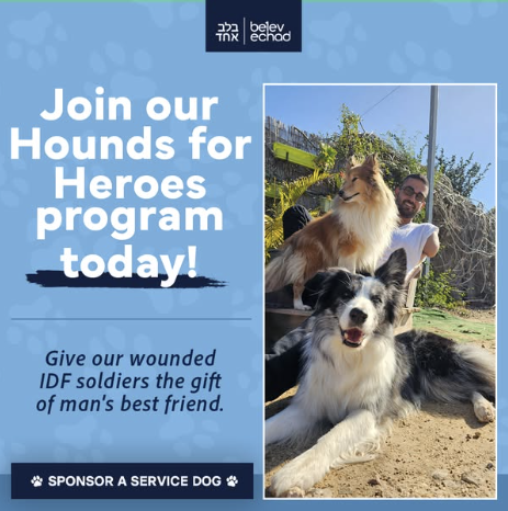 Belev Echad ad — Hounds for Heroes, variant A (the dog leads)